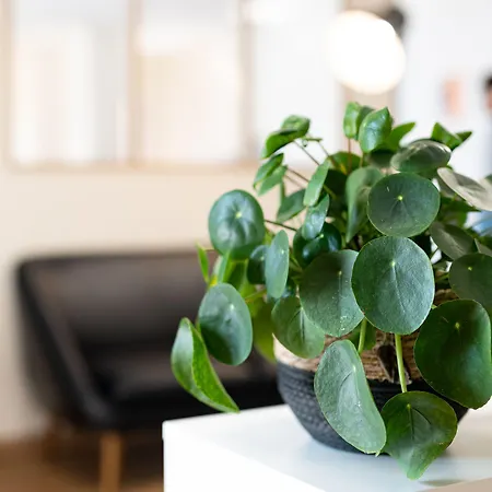 Grand Cap Rooftop Pool 2*