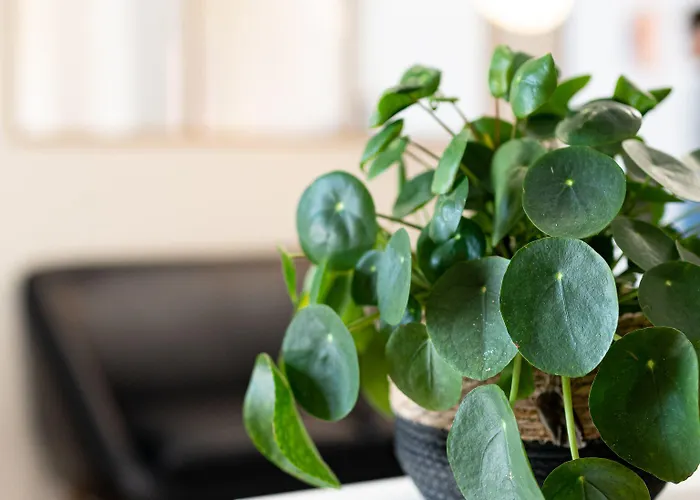 Grand Cap Rooftop Pool 2*