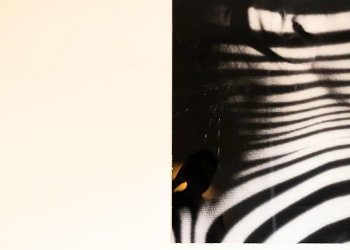 Grand Cap Rooftop Pool Agde