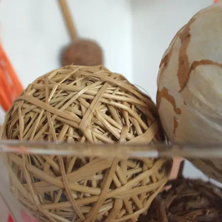 Grand Cap Rooftop Pool 2* Agde