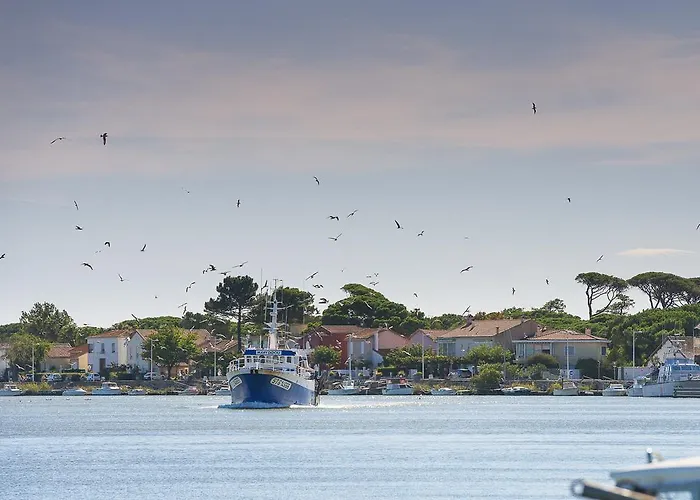 ホテル Grand Cap Rooftop Pool 2*